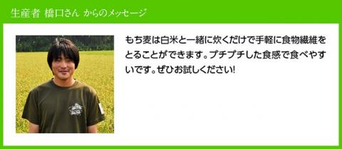 令和7年産 もち麦 2.5kg（500g×5袋） 【 ふるさと納税 国産 麦 もち麦 食物繊維 数量限定 宮崎県産 川南町産 送料無料 】