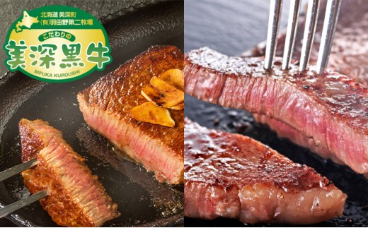 
                  北海道産 黒牛ステーキセット（ヒレ150g×2・サーロイン180g×2）【こだわりの美深黒牛】 お肉 牛肉 
                