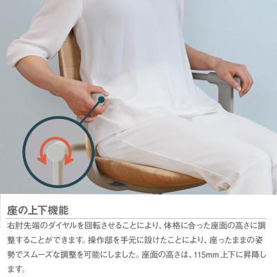 ふるさと納税 岩手県 イトーキ『バーテブラ03WOOD』5本脚 背木 座クッション 抵抗付ウレタン双輪キャスタータイプ |  | 03