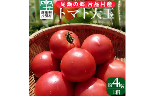 【8月上旬より順次配送】片品村産トマト　1箱