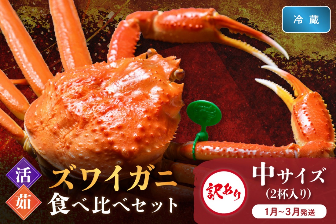 訳あり【蟹の匠 魚政】京丹後産 ズワイガニ 食べ比べセット〈活×茹〉中サイズ2杯入り　（2026年1月～3月発送）　UO01417
