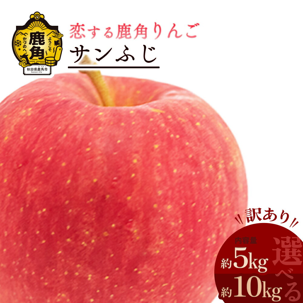 【ふるさと納税】《 先行予約 》 秋田県鹿角産 りんご 訳あり サンふじ 5kg 10kg 家庭用 かづのりんご 食感 果汁 さっぱり リンゴ 完熟 旬 県産りんご 林檎 お中元 お歳暮 贈り物 お見舞い グルメ ギフト 故郷 秋田 あきた 鹿角市 鹿角 送料無料 【恋する鹿角カンパニー】