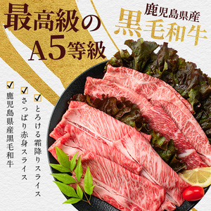 A5等級鹿児島県産黒毛和牛2種のスライスセット400g カミチク IB112-010 牛肉 牛肉 