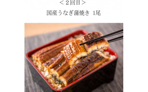 【全4回】困った時の1品に！＼晩ご飯直行／絶品おかず定期便（さば・鰻・サケ・海鮮丼）/定期便 サバ 鮭 うなぎ【tkb304】