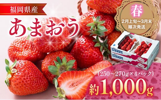 
										
										【2月上旬発送開始予定】福岡産【春】あまおう 4パック 合計約1000g～1080g 約1kg （1パックあたり約250g～約270g） いちご 苺 果物 フルーツ 九州産 福岡県産 冷蔵 送料無料 
									