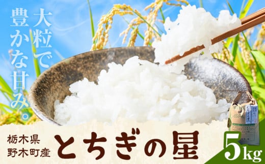 先行予約 令和7年産 米 お米 白米 精米 とちぎの星 5kg 5kg × 1袋《2026年12月下旬-2月下旬頃出荷》 栃木県 野木町産 コメ 米 ブランド米 とちぎのほし
