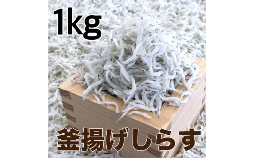 釜揚げしらす1kg(500g×2パック) / シラス 厳選 小分け 冷蔵便【dig012】