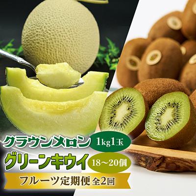 ふるさと納税 掛川市 【発送月固定定期便】掛川市人気のクラウンメロンとキウイの定期便全2回