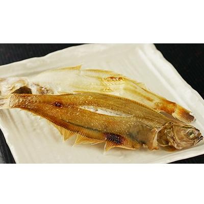ふるさと納税 京丹後市 笹かれい一夜干し(ササカレイ、ヤナギムシカレイ)中サイズ 5尾セット |  | 03