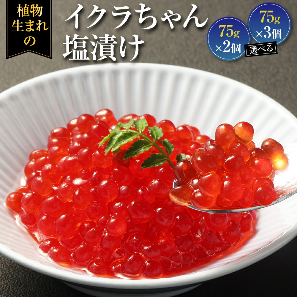 【ふるさと納税】イクラちゃん 塩漬け 75g×2個 または 3個 選べる内容量 プラントベースフード コレステロールゼロ プリン体ゼロ オメガ3脂肪酸 常温保存可 動物性原料不使用 九州 熊本県 送料無料