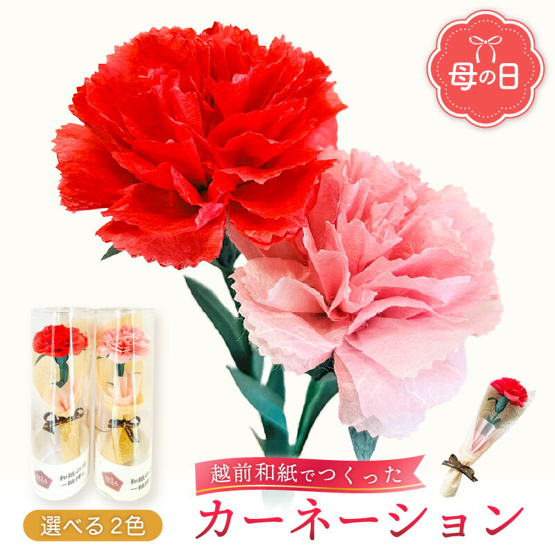 【ふるさと納税】【受付期限4月30日】「母の日」カーネーション 花 ギフト 越前和紙 花一輪挿し 【2025年5月発送】「永遠の感謝」 母の日ギフトメッセージ （赤色 / ピンク色 どちらかお選びください）【 フラワーギフト 和紙花 1万円以下】