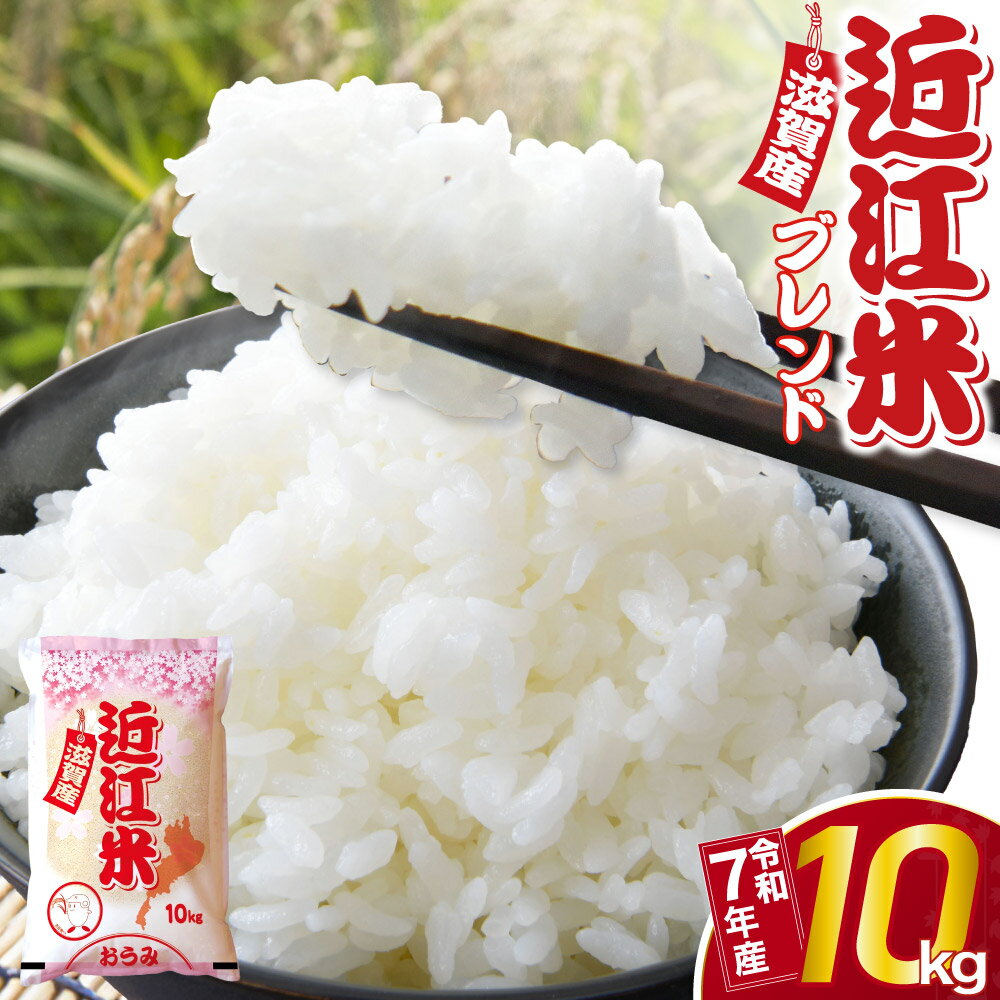 【ふるさと納税】近江ブレンド米 （10kg）お米 米 おこめ 精米 白米 ブランド米 訳あり コメ ご飯 一人暮らし 常温保存 備蓄 小分け 便利 お取り寄せ グルメ ご当地 滋賀県 東近江 近江 B-C09 中川吉兵衛商店