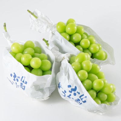 山梨市産「シャインマスカット(種なし)」 約1.65kg (約550g×3房)【配送不可地域：離島・沖縄県】