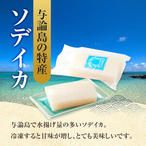 ヨロン島特産☆あま～いソデイカ 1kgセット | イカ