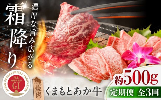 【全3回定期便】GI認証 くまもとあか牛 焼肉 約500g 計約1.5kg / 霜降り 高品質 あか牛 牛肉 niku あかうし 赤牛 ブランド 旨み 熊本県 菊陽町 冷凍 やきにく ブランド牛 肉 500g【菊陽町(阿蘇牧場)】 [BHAZ026]