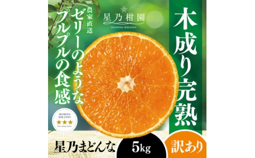 ＜三つ星ブランド＞星乃みかん園の星乃まどんな(5kg)＜訳あり＞＜D45-62＞_みかん ミカン マドンナ 紅まどんな同品種 柑橘 柑橘類 フルーツ 果物 くだもの 人気 美味しい 愛媛県 八幡浜 ふるさと 訳あり【1339328】