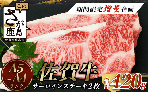 予約受付【3月発送】佐賀牛サーロインステーキ 2枚 (合計420g) A4等級以上 黒毛和牛 和牛 肉 牛肉 ステーキ a5 a4 佐賀牛 サーロイン 佐賀県 鹿島市 D-179