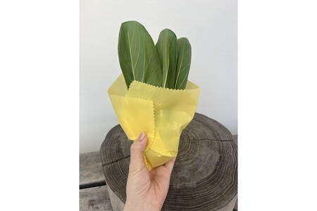 【最短2～5営業日以内に発送】蜜蝋ラップ(綿・柄あり) 繰り返し使える環境にやさしいエコラップ