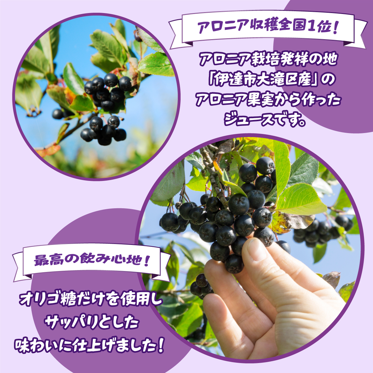 北海道 伊達 大滝産 アロニア ジュース 500ml 2本 果汁 果実飲料 飲料 飲み物 フルーツ スーパーフード ポリフェノール_イメージ2