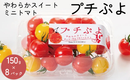 トマト ミニトマト 1.2kg (150g×8) プチぷよ トマト トマト トマト トマト