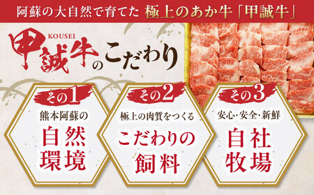 【全3回定期便】熊本県産 あか牛 カルビ焼肉セット 400g 冷凍 専用タレ付き あか牛のたれ付き 熊本和牛【有限会社 三協畜産】[YCG051]