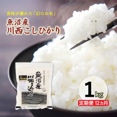 ふるさと納税 十日町市 【発送月固定定期便】【10月下旬より発送予定】新潟県魚沼産川西こしひかり1kg全12回