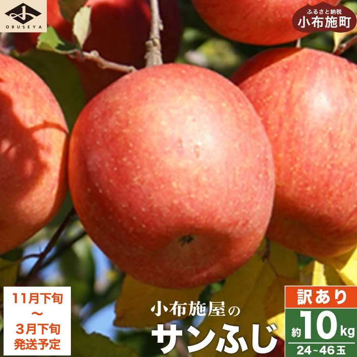 【訳あり】 サンふじ 約10kg 24～46玉 ［小布施屋］ りんご 林檎 リンゴ 不揃い 規格外 果物 くだもの フルーツ 長野県 特産 産地直送 産直 数量限定 生産者応援 支援 家庭用 令和7年産 【2025年11月下旬～2026年3月下旬発送】