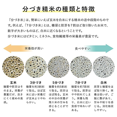 【好みのお米が選べる】ひのひかり 5kg×4袋 計20kg 精米/3分/5分/7分 分づきが選べる 減農薬栽培 岡山県産　精米