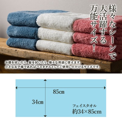 エアーかおる　ダディボーイ　フェイスタオル　6枚　マウンテンブルー【I002220FT6MB】【1582299】