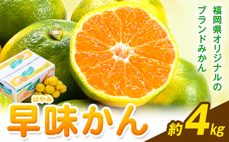 みかん 早味かん 約4kg  南国フルーツ株式会社《9月中旬-9月下旬頃出荷》福岡県 鞍手町 福岡県産 みかん 早味かん フルーツ 果物 st-p