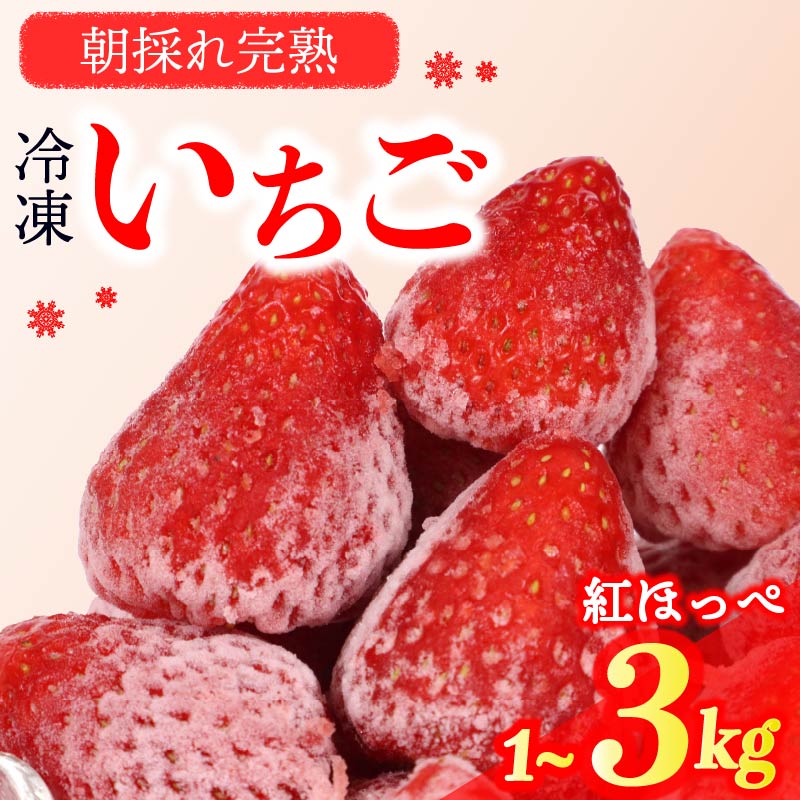 【ふるさと納税】 冷凍いちご 1〜3kg 完熟 紅ほっぺ 選べる ヘタ取り 静岡 限定 苺 果物 スイーツ デザート フルーツ アイス ジャム シャーベット ベリー 氷菓 冷凍フルーツ 甘い おすすめ ギフト 人気 森木農園 産地直送 旬 季節 牧之原市 静岡県