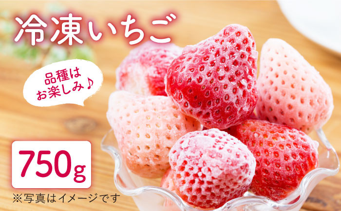 
            【先行予約】冷凍いちご おまかせ 詰め合わせ 750g【岸川農園】九州 佐賀県 白石町 [IAP002]
          