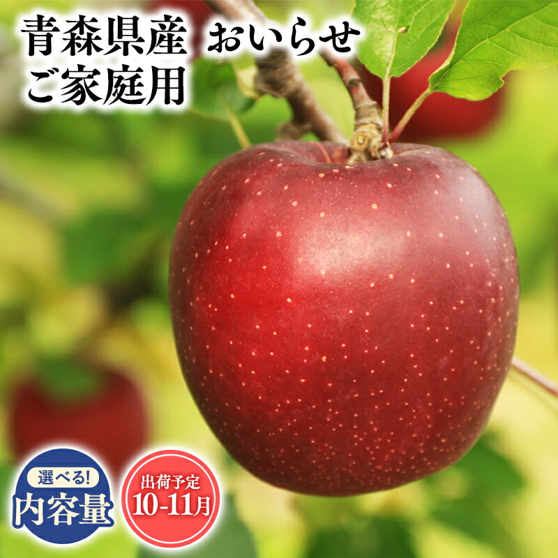 【ふるさと納税】≪内容量が選べる!≫青森県産 訳あり おいらせ 3kg 5kg 10kg【青森県 平川市 そと川りんご園】10月〜11月発送 家庭用 青森 青森県産 平川 りんご リンゴ 林檎 くだもの 果物 フルーツ レビューキャンペーン
