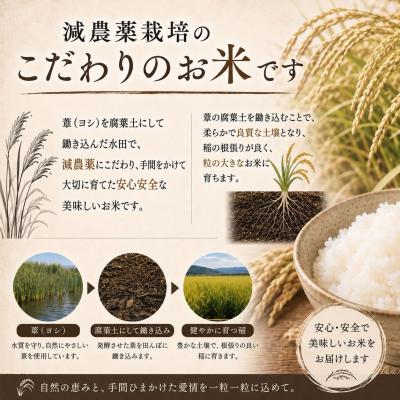 ふるさと納税 石巻市 【10月配送】 <先行受付> 令和8年産 ササニシキ 精米 10kg (5kg×2) 単品 新米 |  | 01