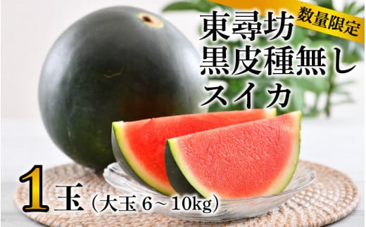 【先行予約】 種なし スイカ 6～10kg × 1玉 大玉サイズ ～シャリシャリ甘い東尋坊黒皮種なしスイカ～ 【2026年7月以降順次発送予定】 【スイカ 西瓜 フルーツ デザート 旬の味覚 果物 国産 産地直送 お祝い お中元 ギフト】 [A-10271]