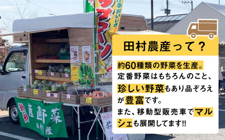 【先行予約】田村農産の白トウモロコシ 10～12本入り（2025年6月以降順次発送）【田村農産】《豊前市》野菜 とうもろこし スイートコーン [VBE001]