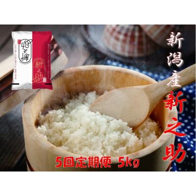 ふるさと納税 阿賀野市 【令和7年産】【5回定期便】阿賀野市産「新之助」5kg(5kg×1袋)×5回 安田興和農事
