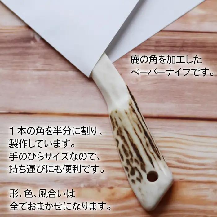 鹿の角 ペーパーナイフ 小 1個 右手用 【竜鹿】