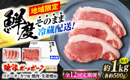 【12回定期便】 ※冷蔵配送/地域限定※ 岐阜県産 豚 瑞浪ボーノポーク ロース 1kg ステーキ 生姜焼き 焼肉 瑞浪市 / きなぁた瑞浪[AZCI067]