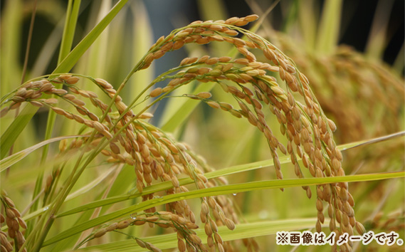 献上桃の郷桑折町町制施行70周年記念米　10kg（5kg×2袋）