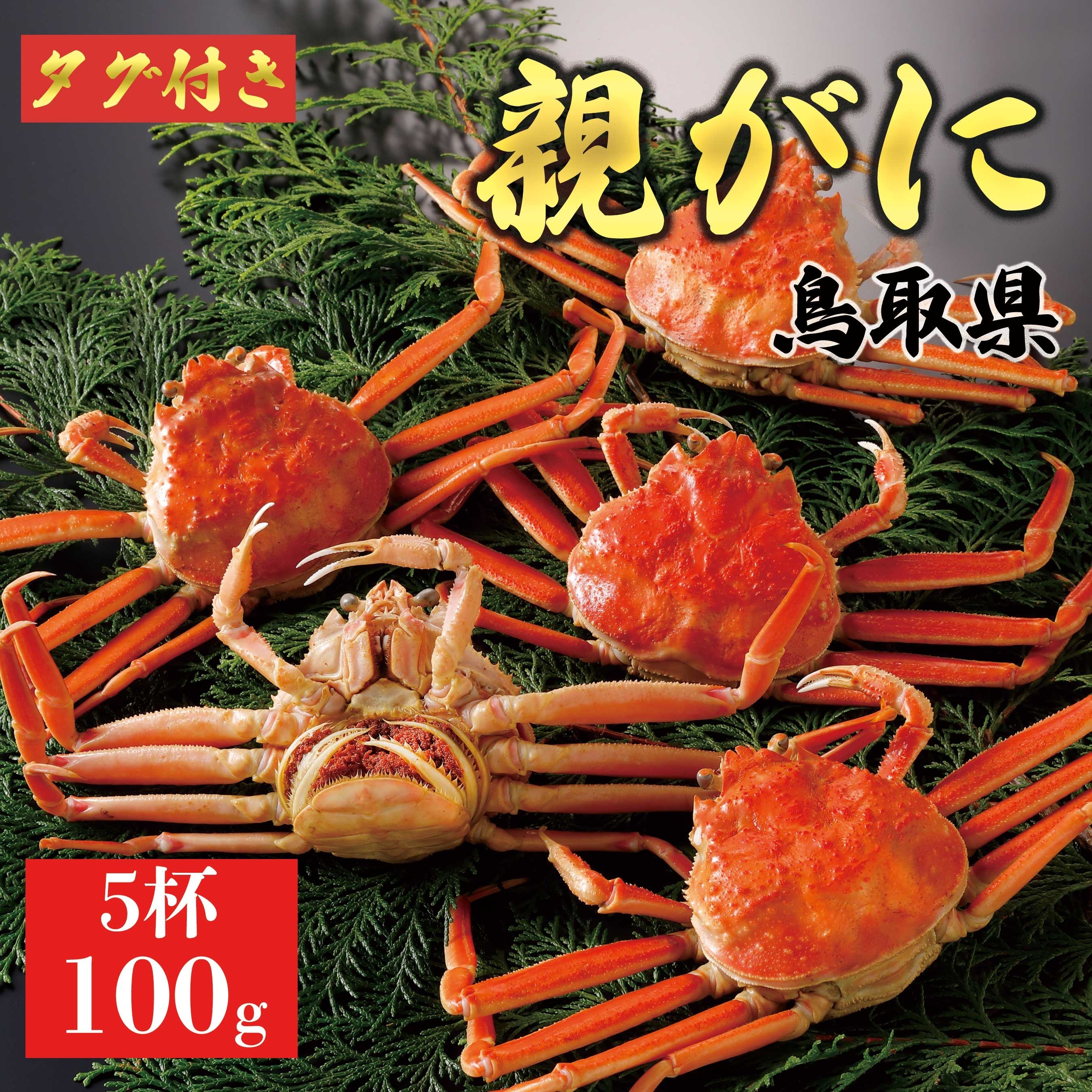 
            【ボイル】親ガニ(セコガニ) 100g　5杯
          