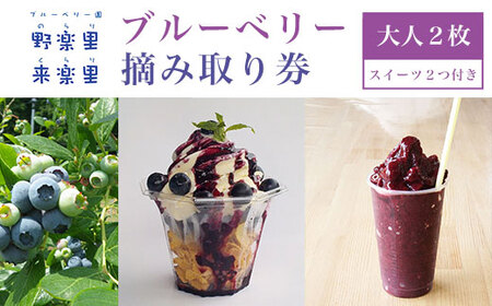 ブルーベリー園のらりくらり摘み取り券（大人２枚）スイーツ（２名様分）  KCA006