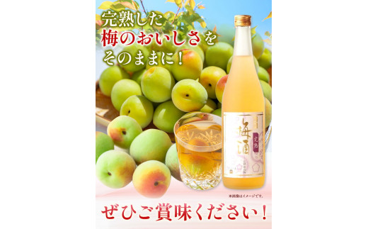 梅酒 紀州完熟南高梅 梅酒 720ml 酒のねごろっく《90日以内に出荷予定(土日祝除く)》和歌山県 岩出市 梅酒 梅 うめ 紀州南高梅 720ml おつまみ おさけ お酒 晩酌 ストック 家飲み 宅