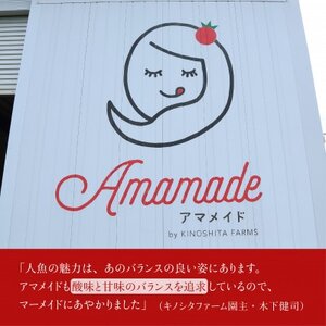 ミニトマト １kg 糖度８以上 アマメイド 野菜（EW001-SJ）