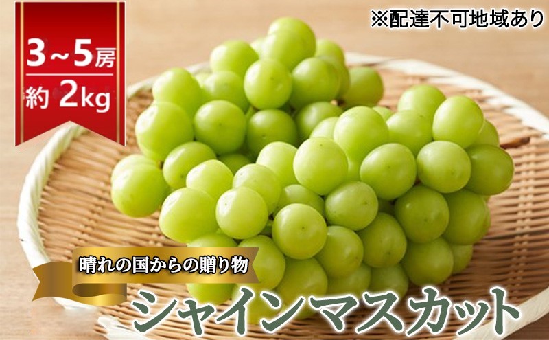 早期受付 ぶどう 晴れの国 シャインマスカット 2kg（3～5房）化粧箱入り 岡山県 高梁市 ブドウ 葡萄 果物 フルーツ