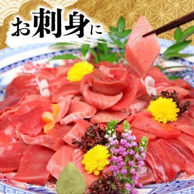 ふるさと納税 室戸市 高豊丸 天然本マグロ (赤身・中とろ) 切り落とし 100g×10パック 1kg |  | 02