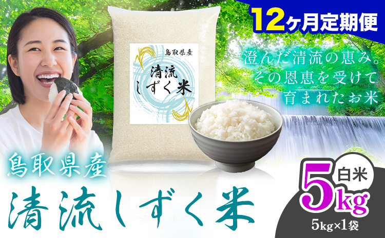 【12ヶ月定期便】鳥取 ふるさと 白米 5kg  清流しずく米《お申し込み月の翌月から出荷開始》鳥取県 八頭町 米 お米 ご飯 八頭 ふるさと 生活応援 ブレンド米 複数原料米 訳あり 小分け kome ご飯