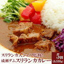 【ふるさと納税】成瀬ダム スリランカカレー 100g×5個