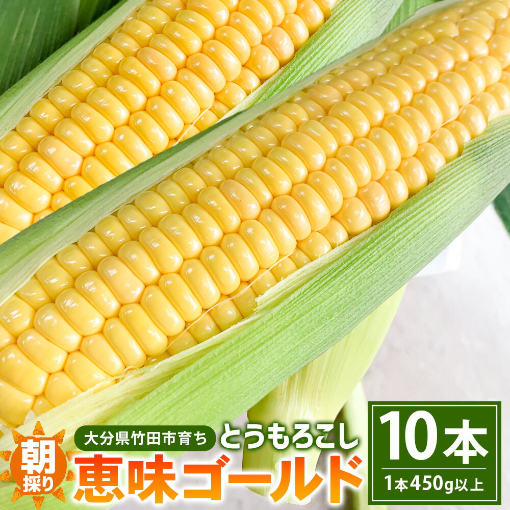【ふるさと納税】朝採りとうもろこし 恵味ゴールド 10本入り（1本あたり450g以上） トウモロコシ コーン 野菜 冷蔵 大分県産 国産 九州 大分県 竹田市 送料無料 【2026年7月上旬～8月上旬発送予定】