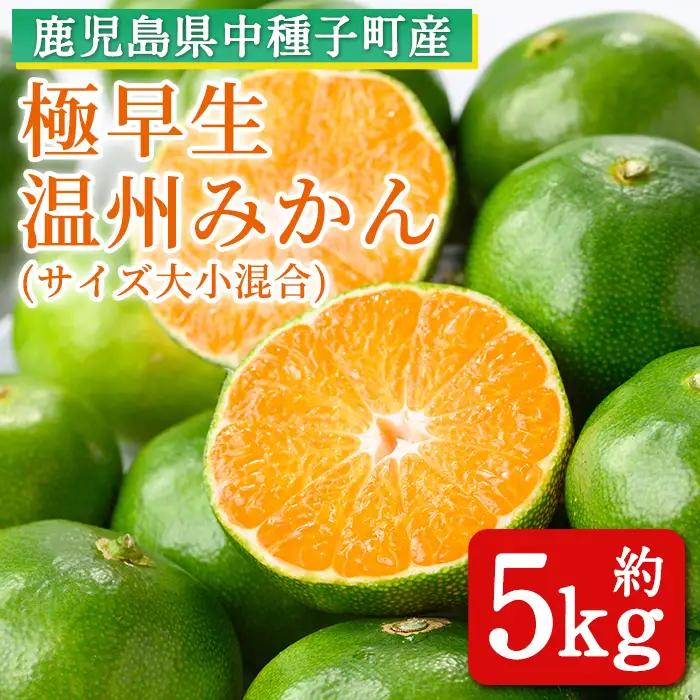 温州みかん 約5kg サイズ大小混合 極早生 鹿児島 蜜柑 ミカン 【提果樹園】n373